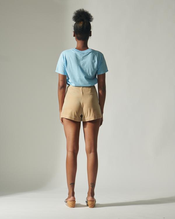 Velvet Shorts 2