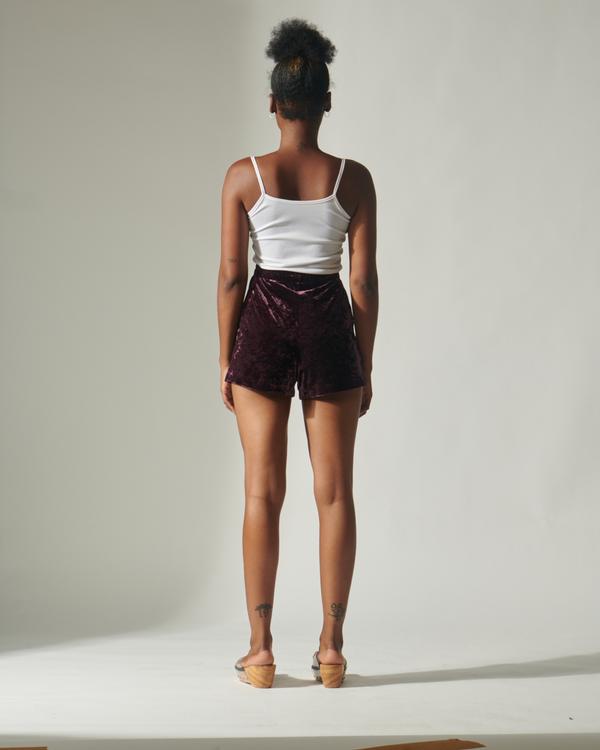 Velvet Shorts 6